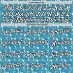 Custom Stitched Panther Blue White Red-Black 3D Pattern Design Baseball Game Day Carolina Inspired Sports Pullover Sweatshirt Hoodie