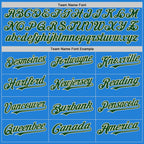 Custom Powder Blue Green-Cream Bomber Full-Snap Varsity Letterman Two Tone Hoodie Jacket