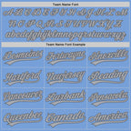 Custom Stitched Light Blue Gray-Steel Gray Baseball Pullover Sweatshirt Hoodie