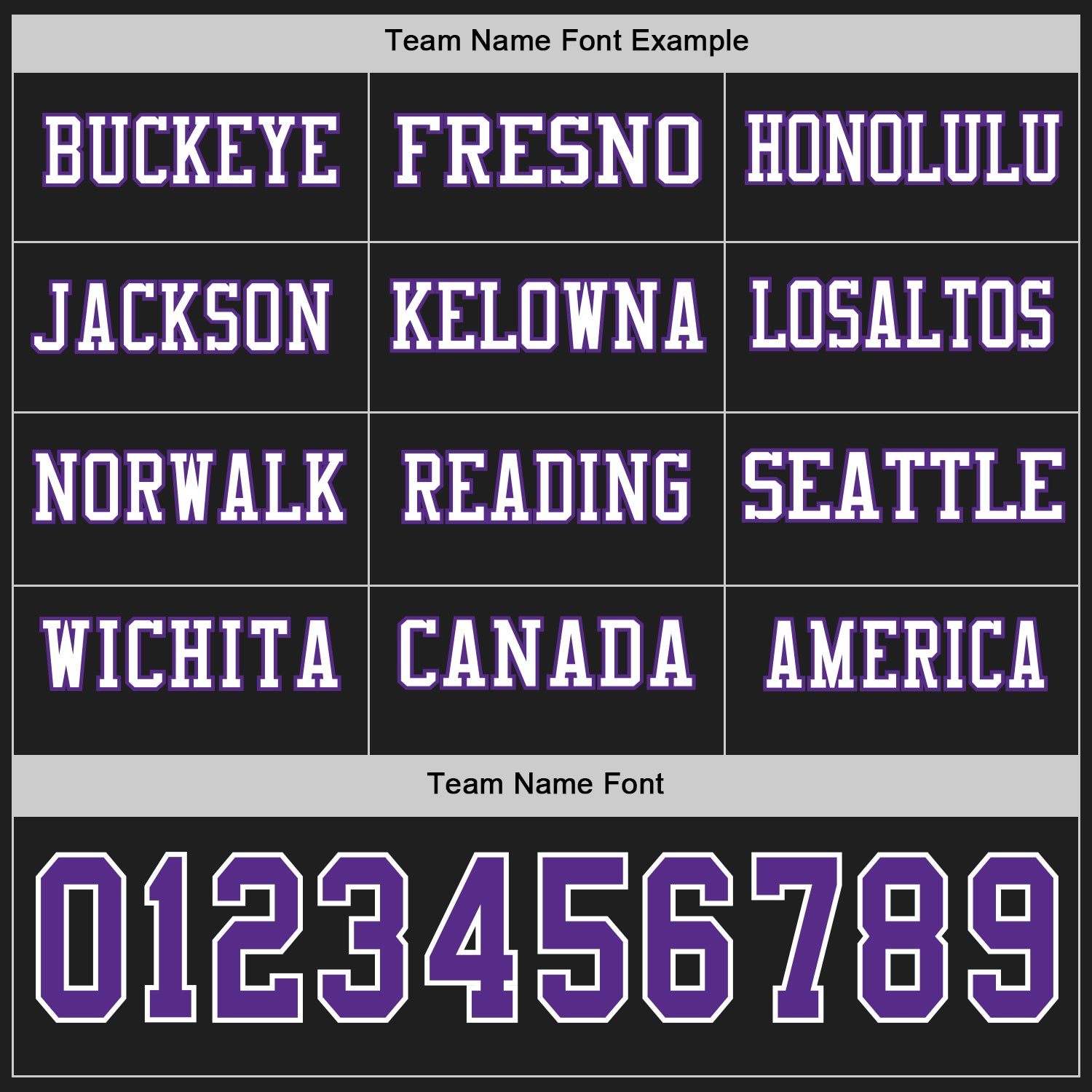 Custom Black Purple-White Long Sleeve Authentic Football Jersey