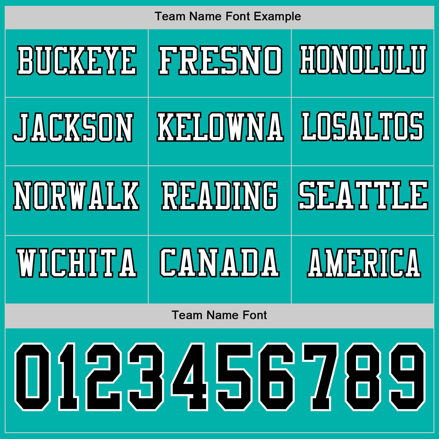 Custom Aqua Black-White Long Sleeve Authentic Football Jersey