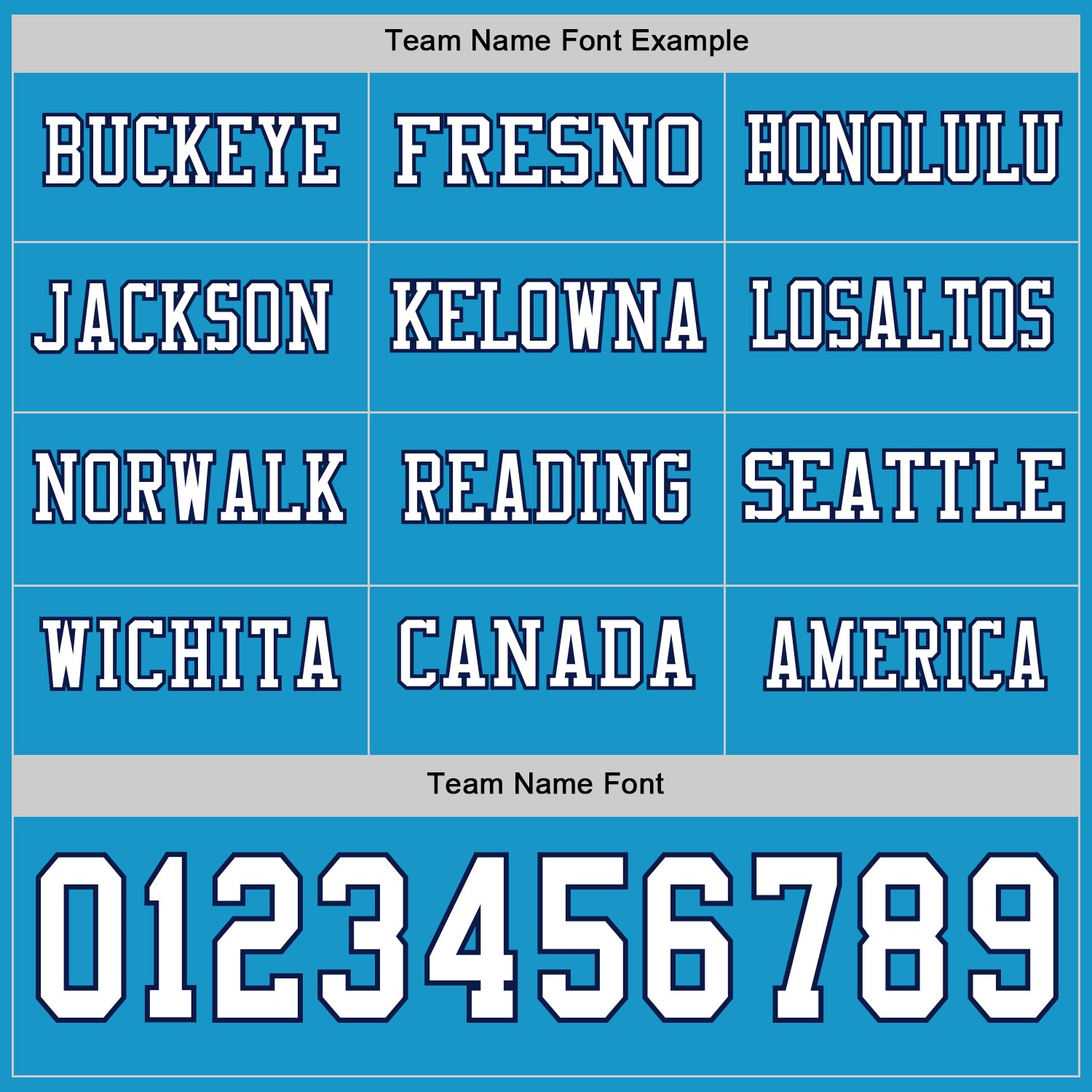 Custom Panther Blue White-Navy Long Sleeve Authentic Football Jersey