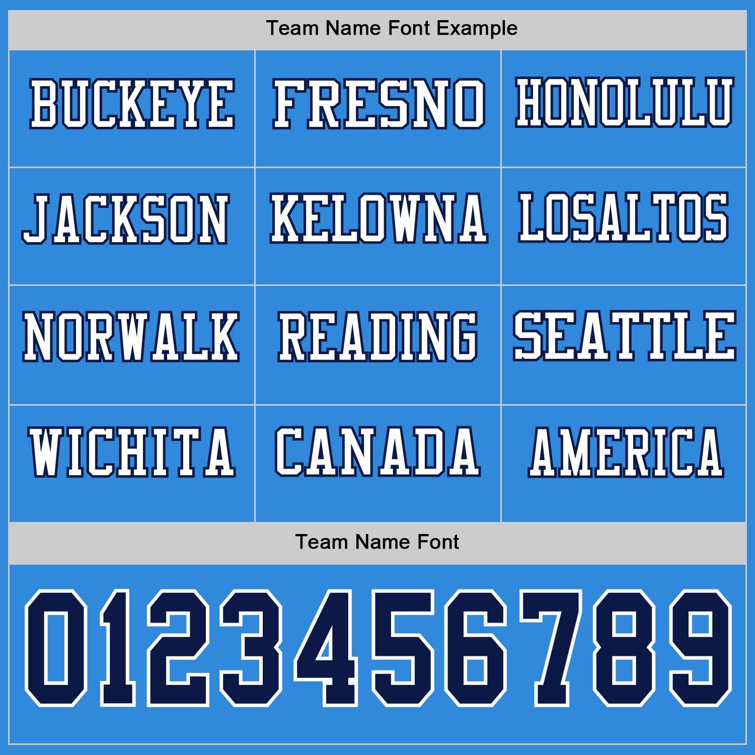 Custom Powder Blue Navy-White Long Sleeve Authentic Football Jersey