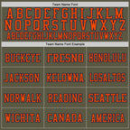 Custom Olive Orange-Navy Mesh Authentic Throwback Salute To Service Football Jersey