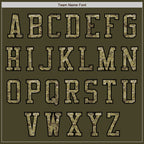 Custom Olive Camo-Black Authentic Salute To Service Baseball Jersey