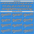 Custom Stitched Powder Blue Gray-Steel Gray Baseball Pullover Sweatshirt Hoodie