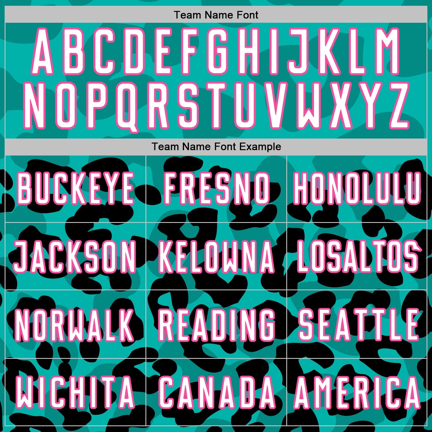 Custom Black White Aqua-Pink Animal Leopard Print Sports Sublimation Soccer Uniform Jersey