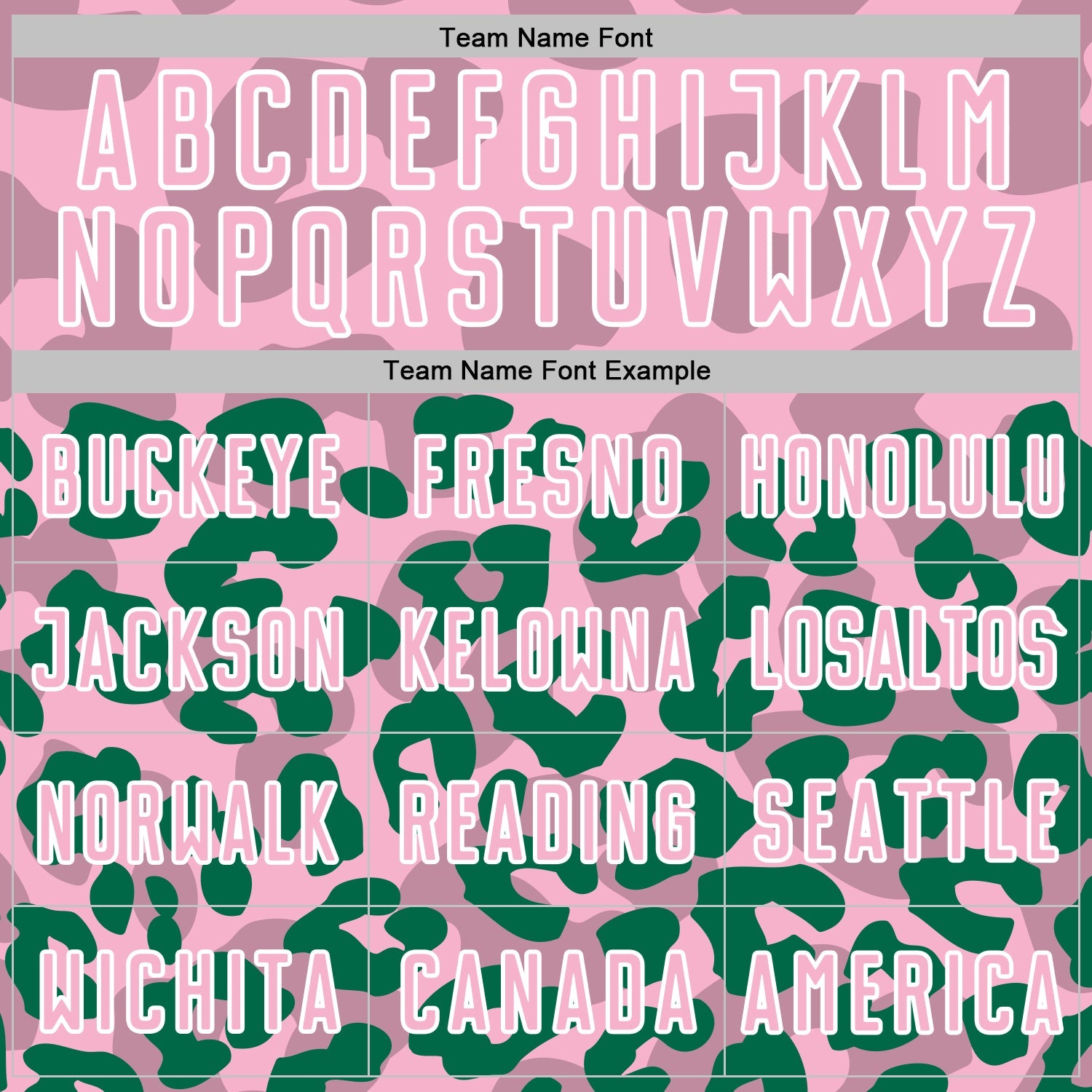 Custom Kelly Green Light Pink-White Animal Leopard Print Sports Sublimation Soccer Uniform Jersey