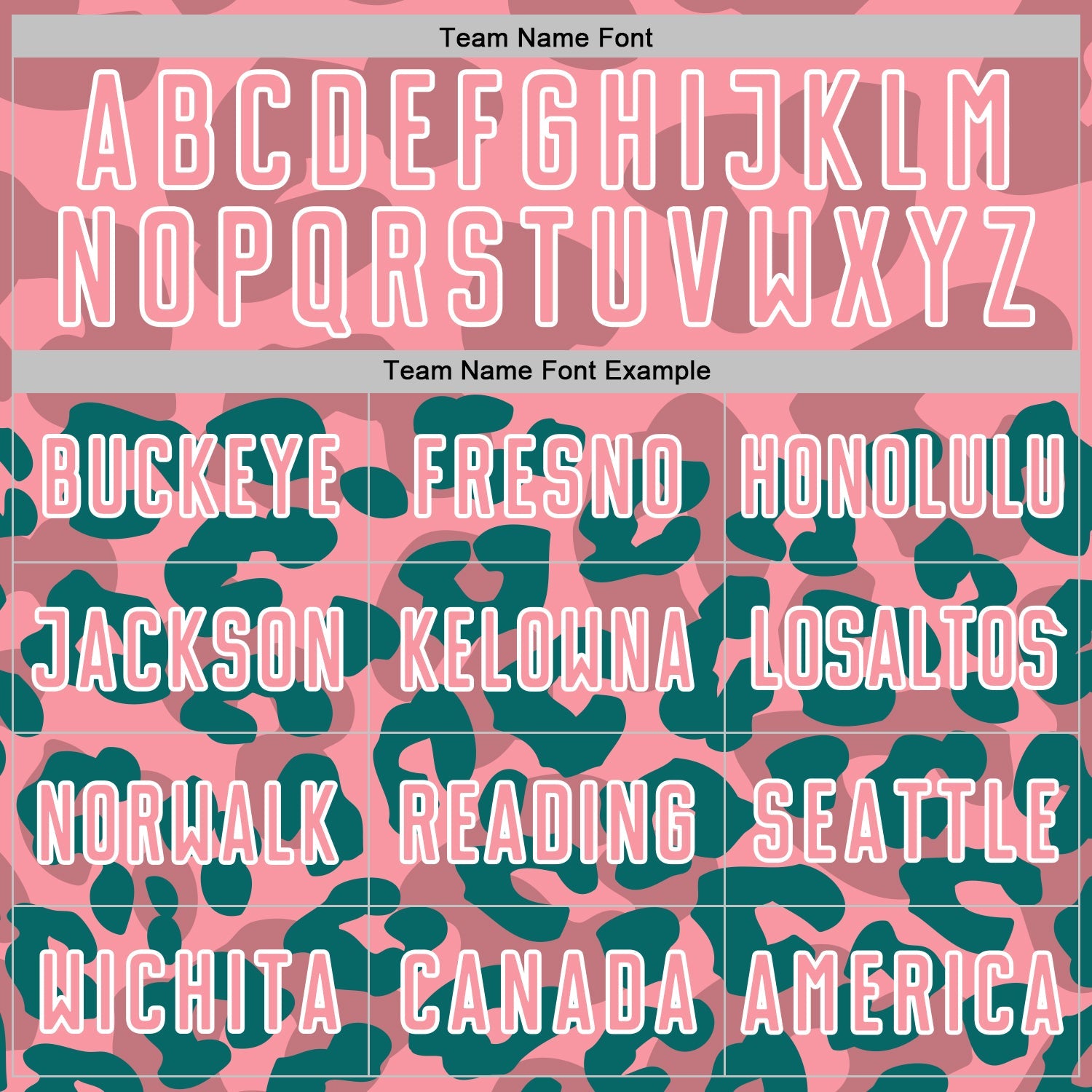 Custom Teal Medium Pink-White Animal Leopard Print Sports Sublimation Soccer Uniform Jersey