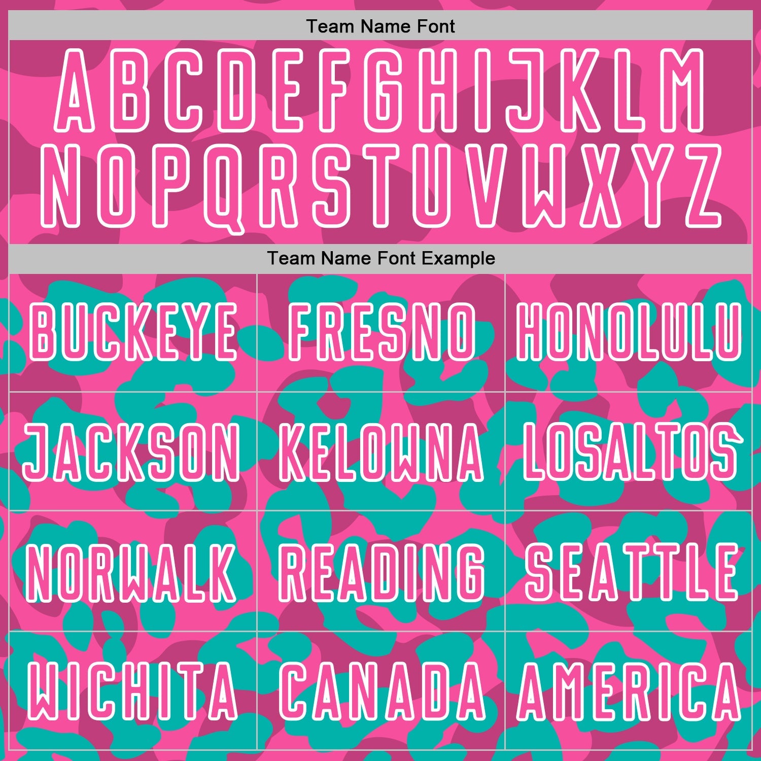 Custom Aqua Pink-White Animal Leopard Print Sports Sublimation Soccer Uniform Jersey