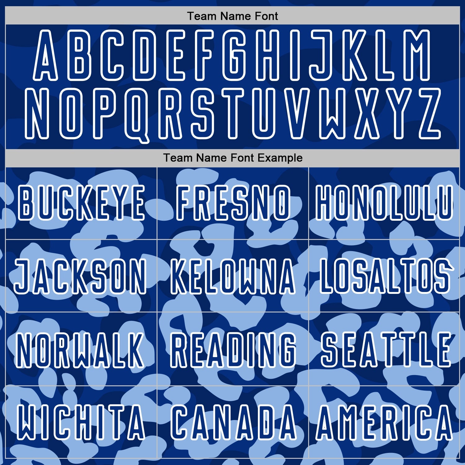 Custom Light Blue Royal-White Animal Leopard Print Sports Sublimation Soccer Uniform Jersey