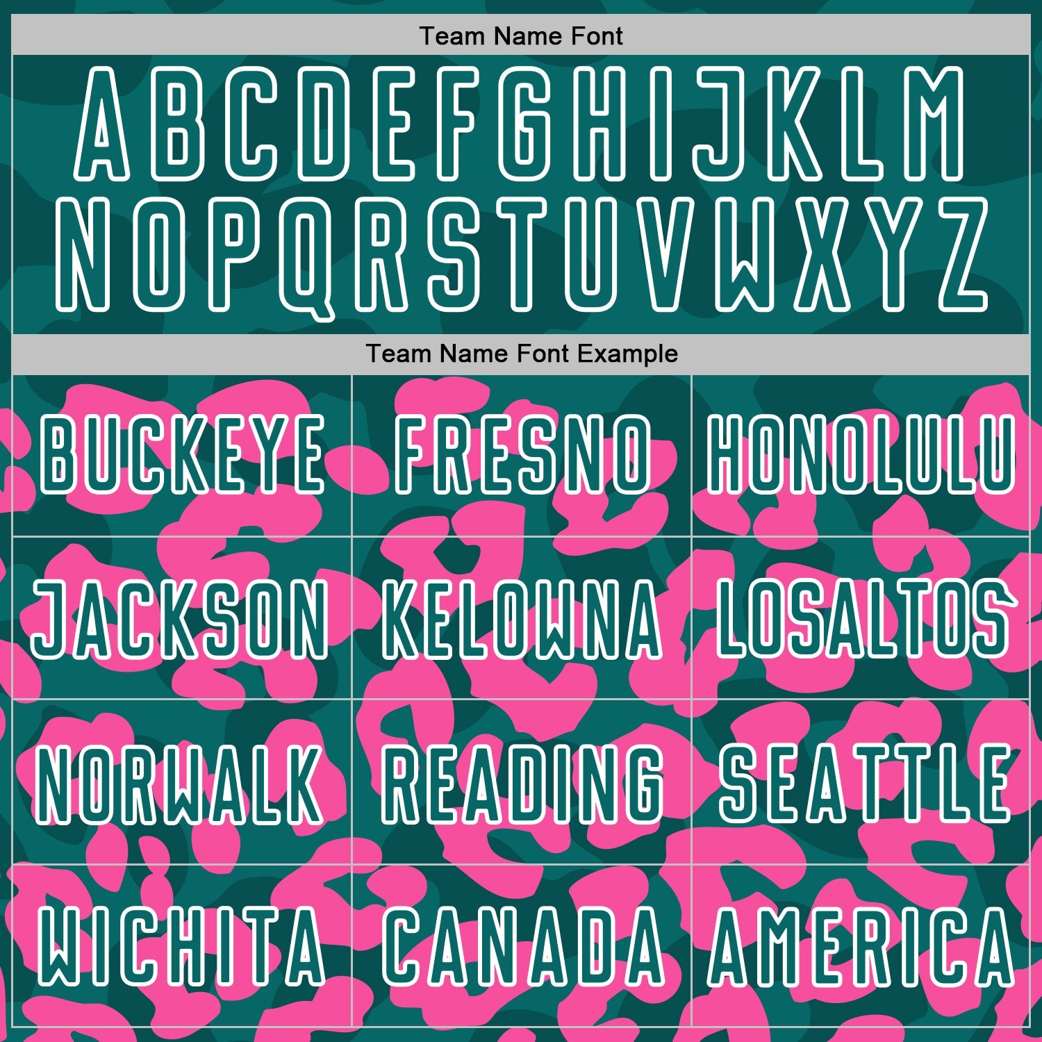 Custom Pink Teal-White Animal Leopard Print Sports Sublimation Soccer Uniform Jersey