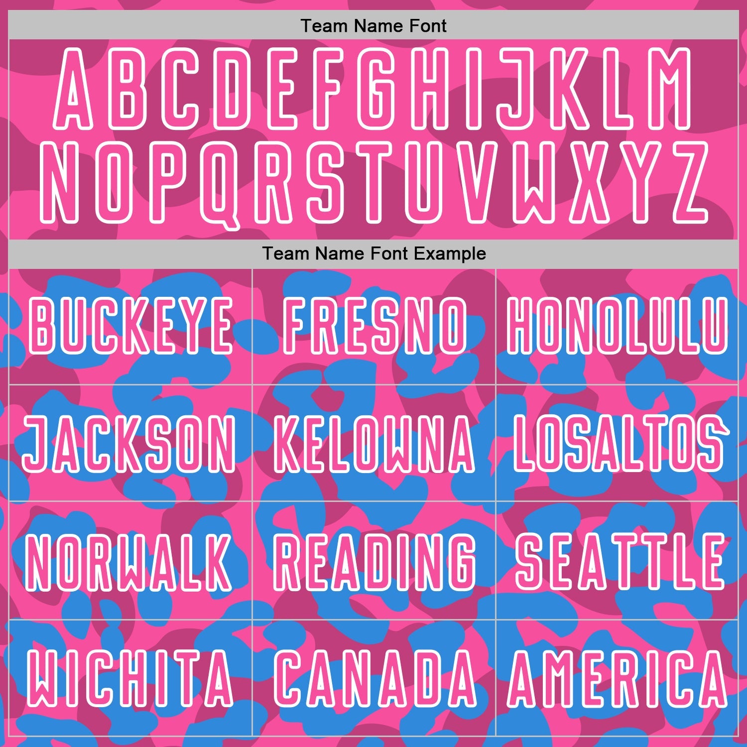 Custom Powder Blue Pink-White Animal Leopard Print Sports Sublimation Soccer Uniform Jersey